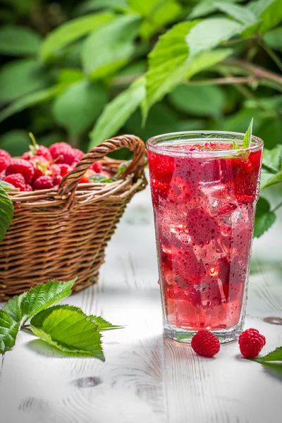 Juice from freshly harvested raspberries served with ice — Stock Photo, Image
