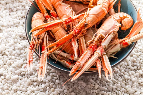 Seafood served on the beach — Stock Photo, Image