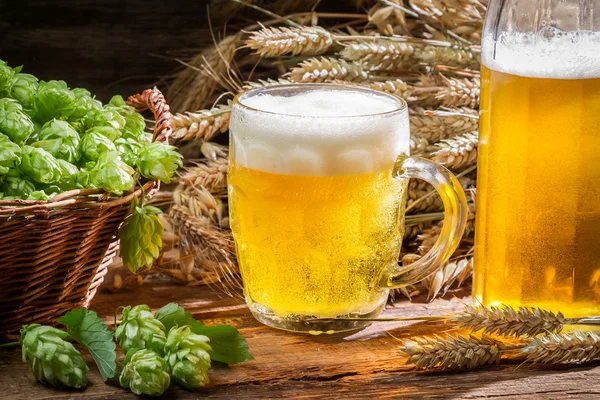 Cerveza casera fresca hecha de lúpulo —  Fotos de Stock