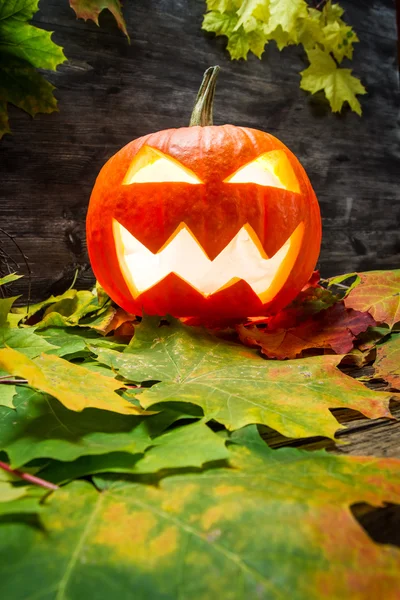 Abóbora de Halloween brilhante em folhas de outono — Fotografia de Stock