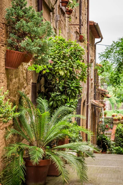 Porches full av blommor på gatan i Toscana — Stockfoto