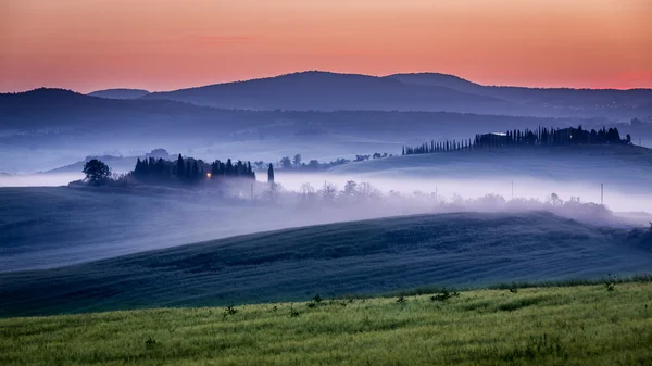 Azienda agricola di oliveti e vigneti nella nebbia mattutina — Foto Stock