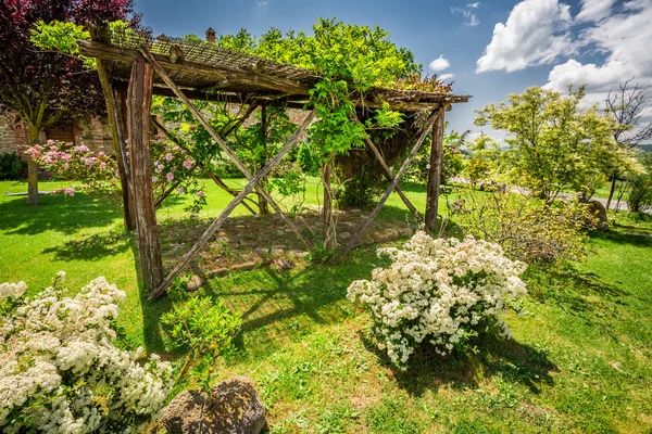 Toskana bir çiftlikte eski ahşap pergola — Stok fotoğraf