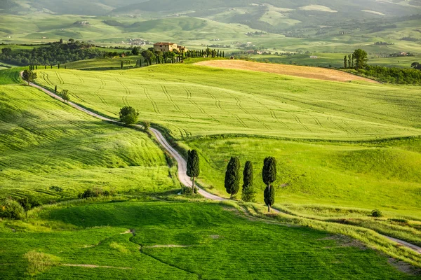 Vale verde ao pôr do sol na Toscana — Fotografia de Stock