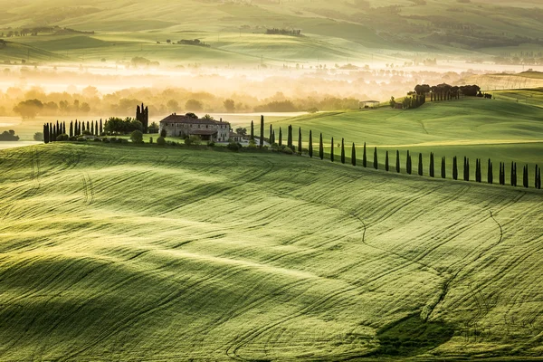 Mistige vallei in de ochtend, Toscane — Stockfoto