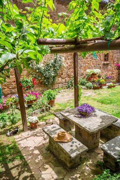 Trädgård full av blommor och vin i Toscana — Stockfoto