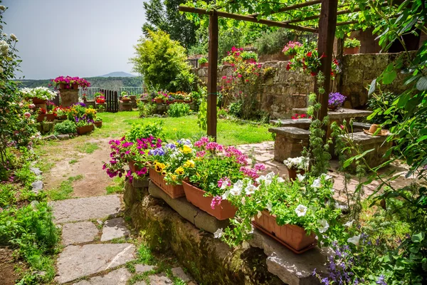 Trädgård i staden full av blommor — Stockfoto