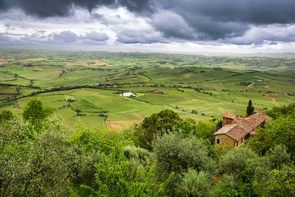 Utsikt över en grön dal i montepulciano, italy — Stockfoto