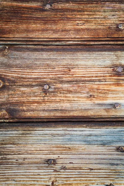 Old wooden door with nails — Stock Photo, Image