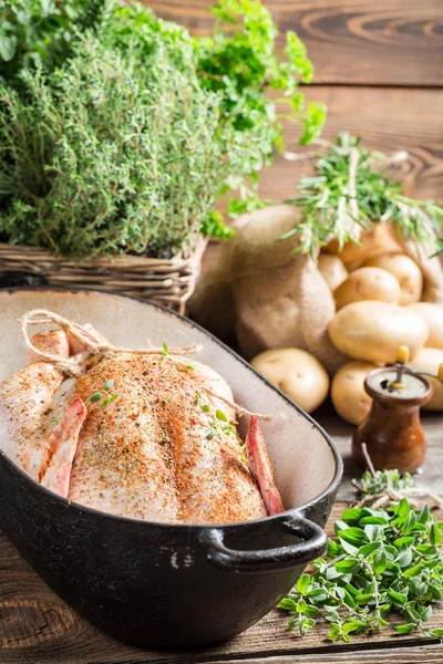 Großaufnahme von Hühnern mit Gewürzen und Gemüse — Stockfoto