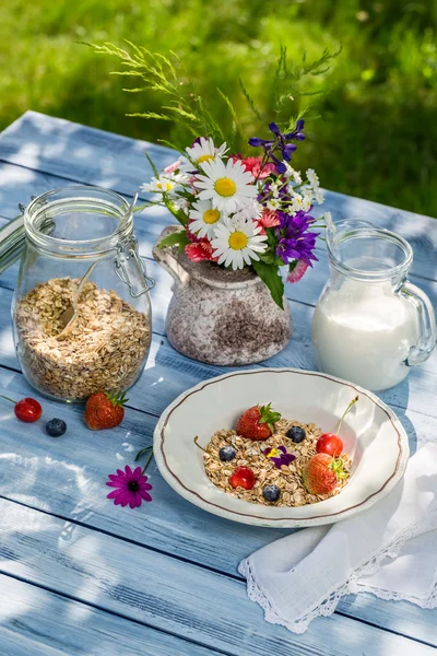 Desayuno con avena, fruta y leche — Foto de Stock