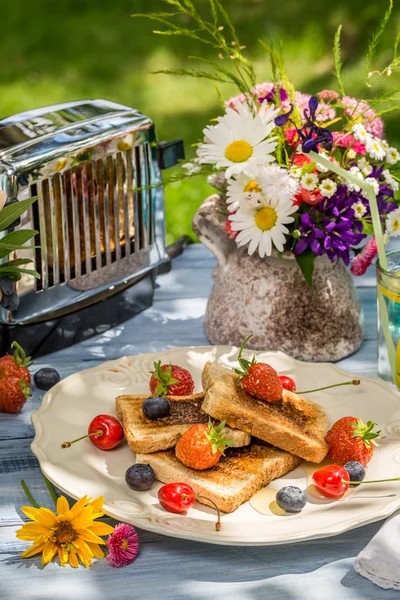 Toast s ovocem a medem, podávaný v zahradě — Stock fotografie