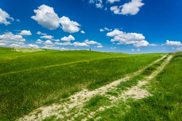 Strada sterrata incrinata tra campi verdi — Foto Stock