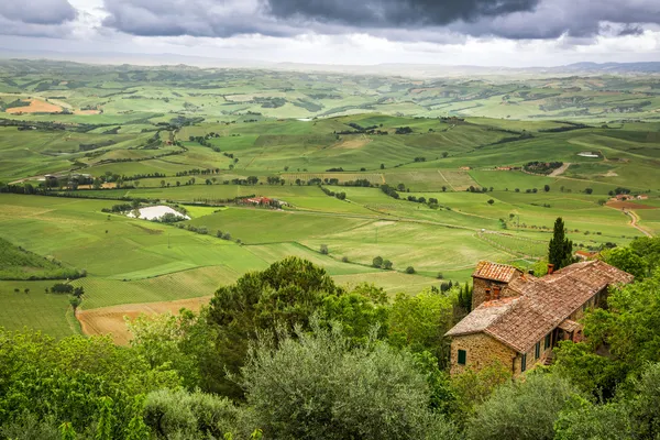 Nézd, egy zöld völgyben fekszik, Montepulciano, Olaszország — Stock Fotó