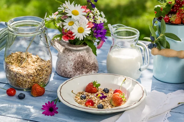 Café da manhã com aveia, frutas e leite — Fotografia de Stock