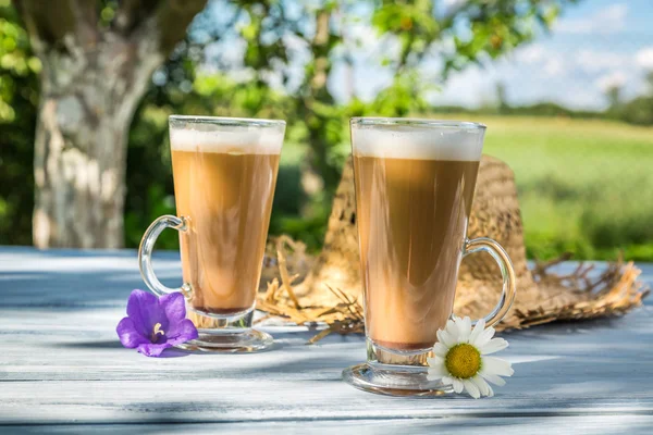 Café com leite em um jardim ensolarado — Fotografia de Stock