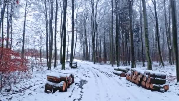 Зимняя снежная проселочная дорога в лесу. Вид с воздуха на природу — стоковое видео