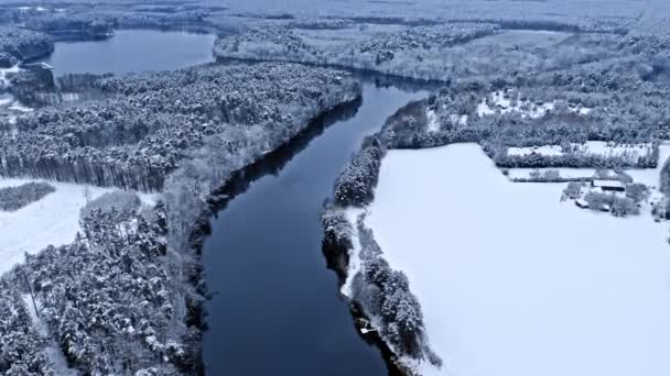 Snöig skog och blå vinterflod. Flygfoto över Polen — Stockvideo
