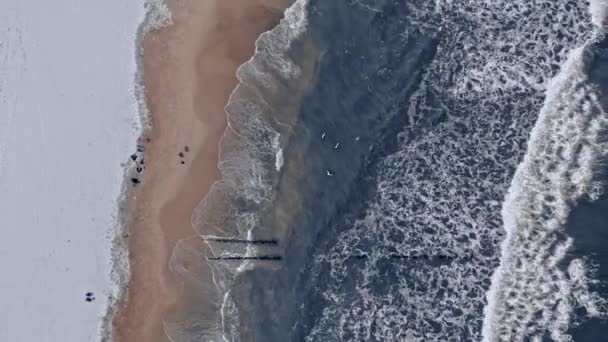 Nuoto invernale freddo nel Mar Baltico per migliorare la salute. — Video Stock