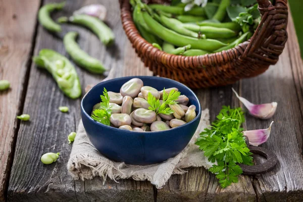 Tasty Broad Beans Parsley Garlic Healthy Country Snack Boiled Broad — Stock Photo, Image