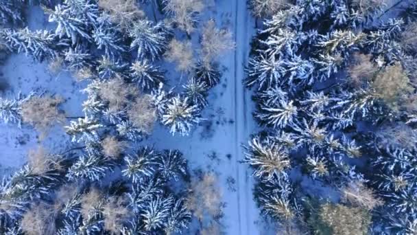 Strada innevata nella foresta invernale. Trasporti in inverno. — Video Stock