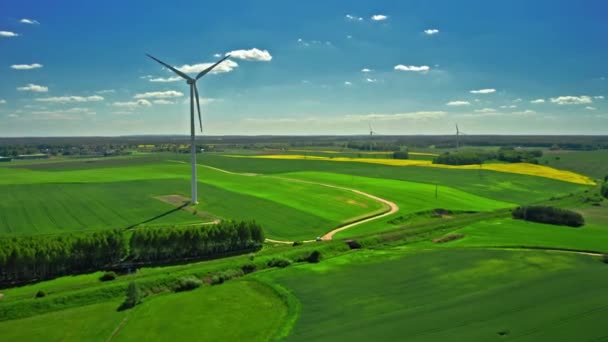 Des éoliennes sur un champ vert. Vue aérienne de l'agriculture, Pologne — Video