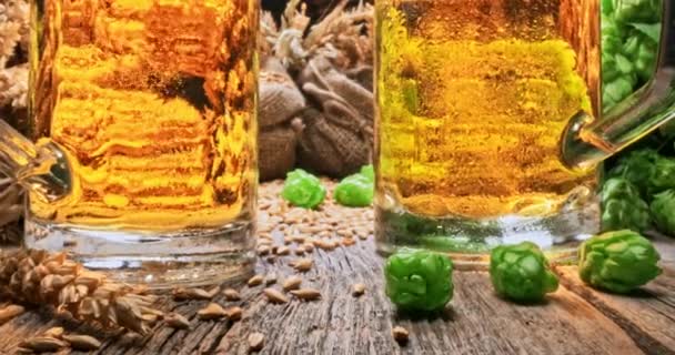 Zöld komló és maláta. Házi készítésű sör összetevői. — Stock videók