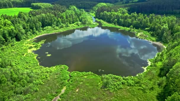 Sjön i skogen på sommaren. Flygfoto över Polen — Stockvideo