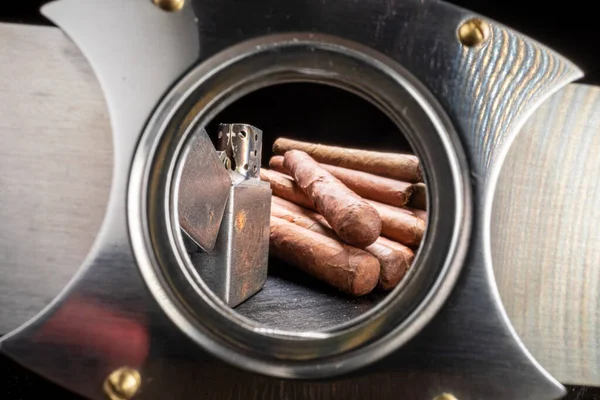 Closeup Cigars Humidor Expensive Cigar Humidor Cutter — Stock Photo, Image