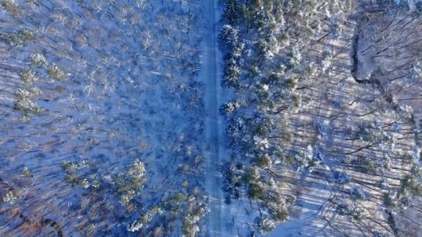 Транспорт у сніжну зиму. Заморожений ліс і дорога взимку . — стокове відео