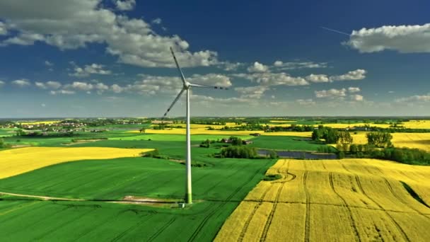 Turbina eólica e campos de colza na primavera. Polônia de cima — Vídeo de Stock