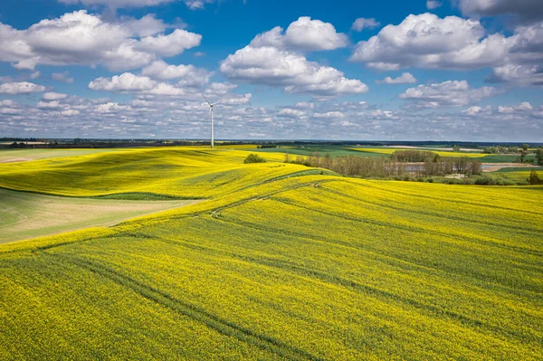 乡村令人惊奇的黄色油菜地和风力涡轮机 欧洲春天的空中自然景观 — 图库照片