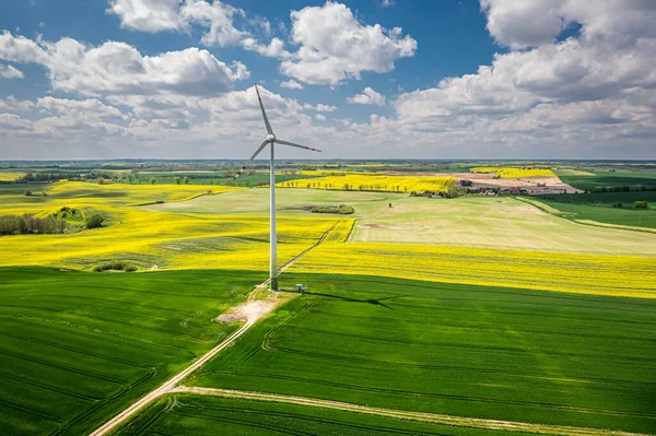 Oszałamiające Żółte Pola Gwałtu Turbina Wiatrowa Polska Rolnictwo Widok Lotu — Zdjęcie stockowe