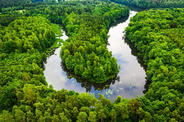 Stunning Green Forest River Summer Aerial View Wildlife Poland Europe — Stock Photo, Image