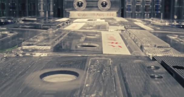 Plastic cassette banden. Draaiend plastic audiocassette in speler. — Stockvideo