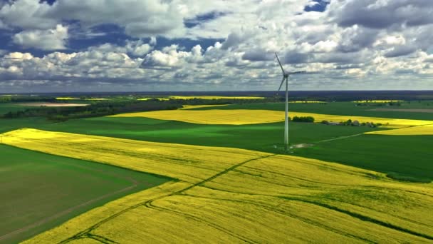 Kvetoucí řepková pole a větrná turbína, letecký pohled na Polsko — Stock video