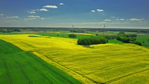 Дивовижні вітрові турбіни та поле ріпаку в сільській місцевості . — стокове відео