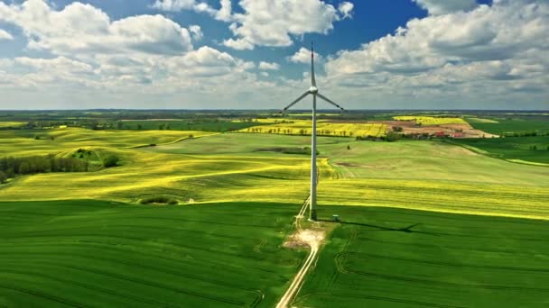 远离黄色的油菜田和风力涡轮机。波兰农业. — 图库视频影像