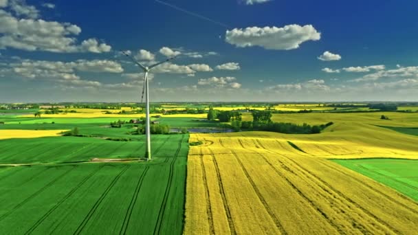 Amazing wind turbine and field of rapeseed. Poland agriculture. — Stock Video