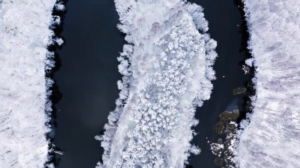 Vista aérea del río y bosque nevado congelado en invierno — Vídeos de Stock