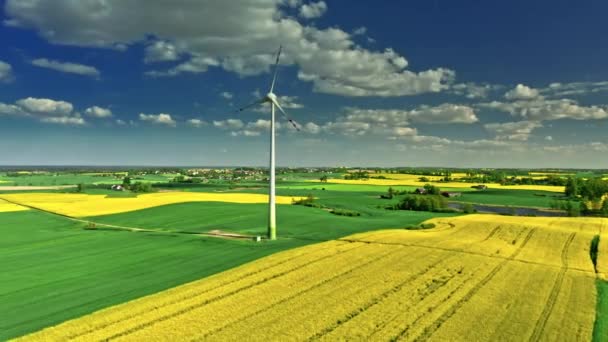 Increíble turbina eólica y campo de colza. Polonia agricultura. — Vídeo de stock