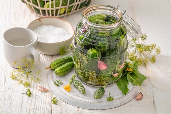 Friska Gurkor Med Dill Vitlök Och Pepparrot Inlagda Gurkor Hemma — Stockfoto