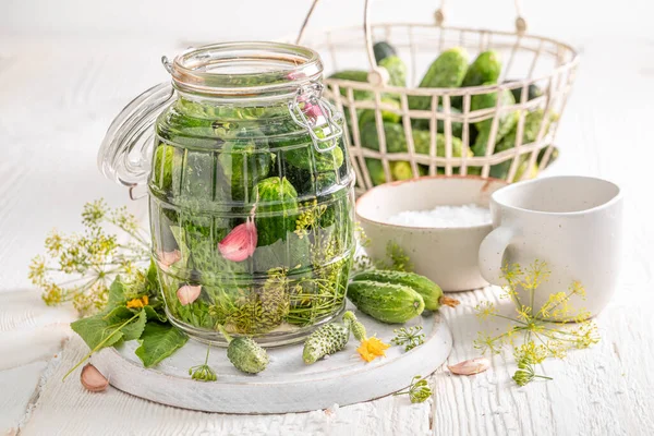 Healthy Gherkins Made Organic Fresh Cucumbers Pickling Cucumbers Home — Stock Photo, Image