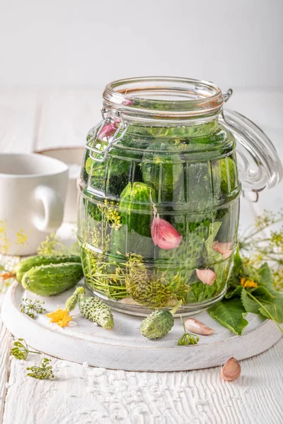 Healthy Pickled Cucumbers Made Vegetables Backyard Greenhouse Pickling Cucumbers Home — Stock Photo, Image