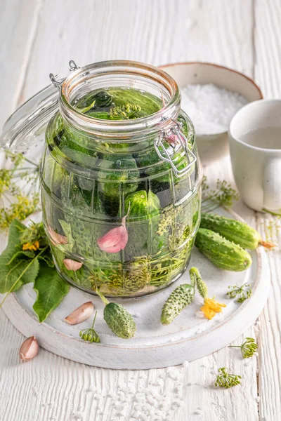 Preparation Pickled Cucumbers Made Vegetables Backyard Greenhouse Pickling Cucumbers Home — Stock Photo, Image
