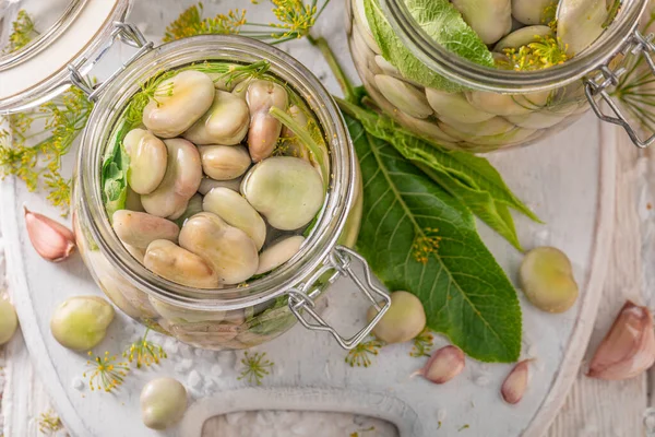 Hausgemachte Saubohnen Mit Dill Knoblauch Und Meerrettich Saure Bohne Hause — Stockfoto