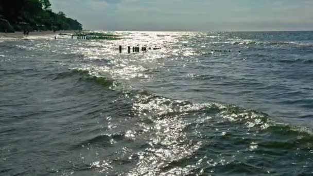 Widok z powietrza na plażę w Morzu Bałtyckim w lecie — Wideo stockowe