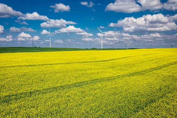 Blooming Raps Flowers Wind Turbine Poland Agriculture Aerial View Nature — Stock Photo, Image