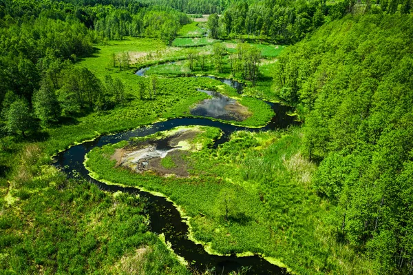 Rio Deslumbrante Algas Flor Verão Vista Aérea Vida Selvagem Polônia — Fotografia de Stock