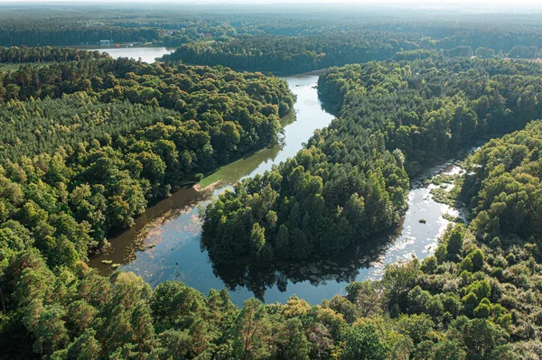 Zielony Las Kręta Rzeka Wschodzie Słońca Polsce Widok Lotu Ptaka — Zdjęcie stockowe